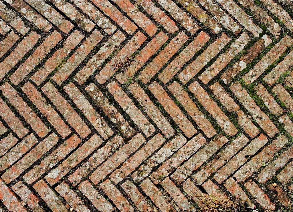 Close-up of weathered red brick pavement laid in a herringbone pattern, with moss and lichen in the joints.
